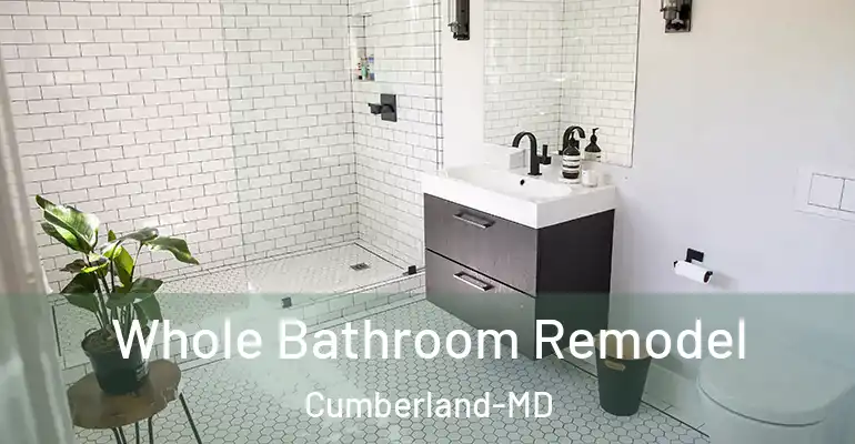 inner Bathroom imggen Whole Bathroom Remodel Cumberland-MD