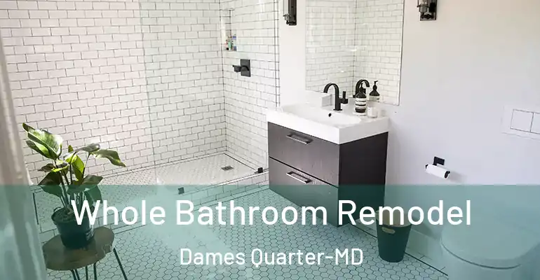 inner Bathroom imggen Whole Bathroom Remodel Dames Quarter-MD