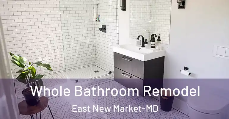 inner Bathroom imggen Whole Bathroom Remodel East New Market-MD