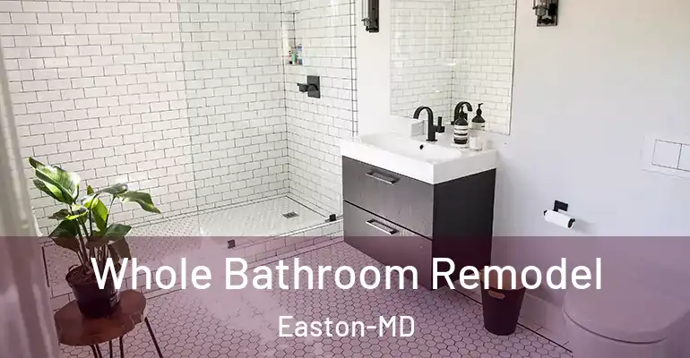 inner Bathroom imggen Whole Bathroom Remodel Easton-MD