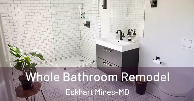 inner Bathroom imggen Whole Bathroom Remodel Eckhart Mines-MD