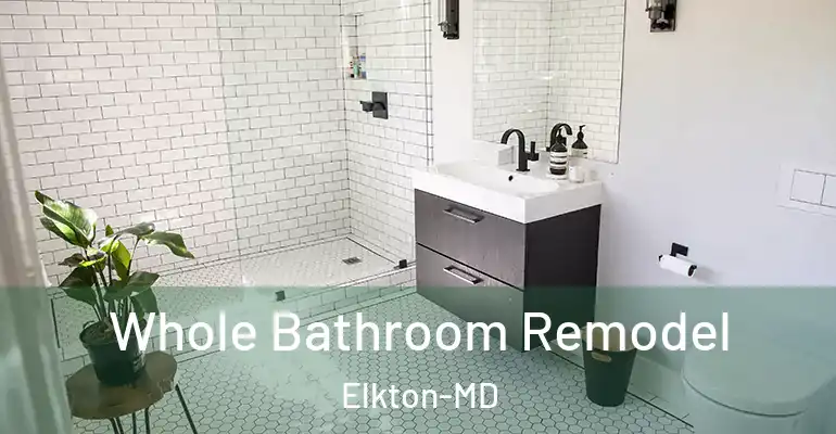 inner Bathroom imggen Whole Bathroom Remodel Elkton-MD