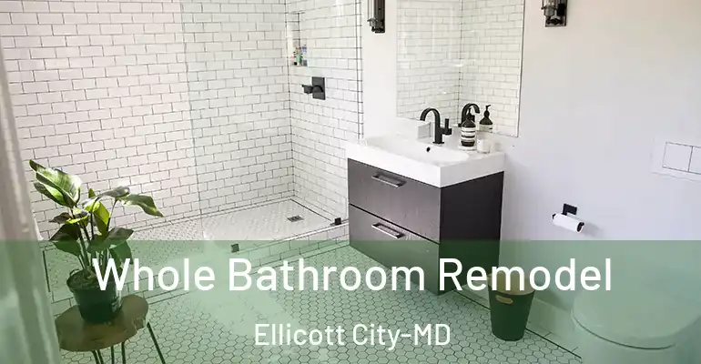 inner Bathroom imggen Whole Bathroom Remodel Ellicott City-MD