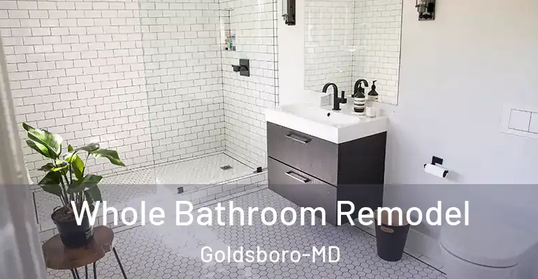 inner Bathroom imggen Whole Bathroom Remodel Goldsboro-MD