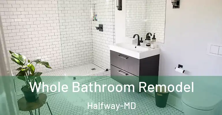 inner Bathroom imggen Whole Bathroom Remodel Halfway-MD