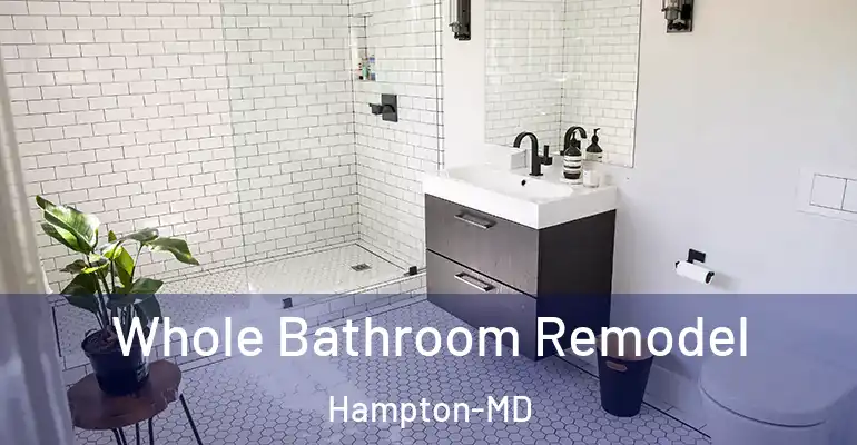 inner Bathroom imggen Whole Bathroom Remodel Hampton-MD