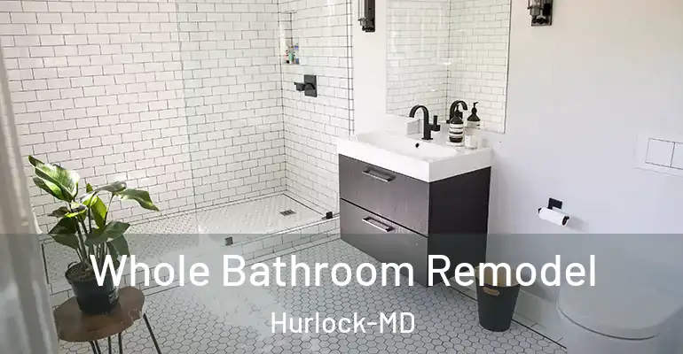 inner Bathroom imggen Whole Bathroom Remodel Hurlock-MD