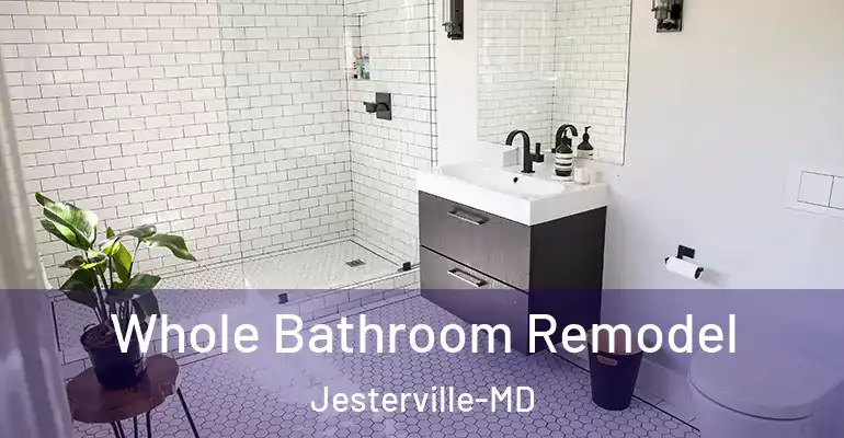 inner Bathroom imggen Whole Bathroom Remodel Jesterville-MD
