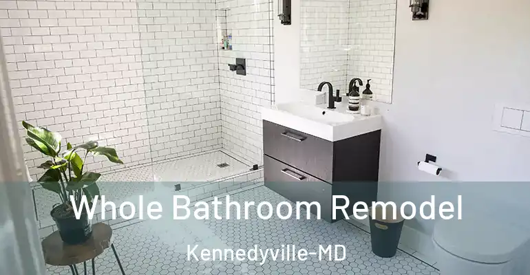 inner Bathroom imggen Whole Bathroom Remodel Kennedyville-MD