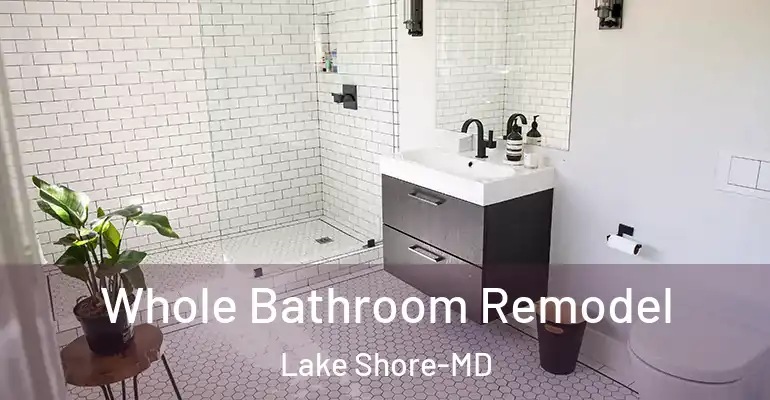 inner Bathroom imggen Whole Bathroom Remodel Lake Shore-MD