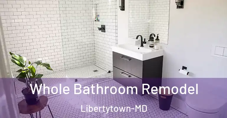 inner Bathroom imggen Whole Bathroom Remodel Libertytown-MD