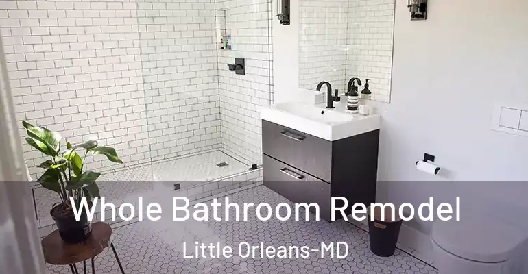 inner Bathroom imggen Whole Bathroom Remodel Little Orleans-MD