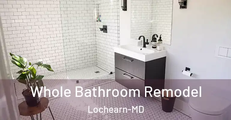 inner Bathroom imggen Whole Bathroom Remodel Lochearn-MD