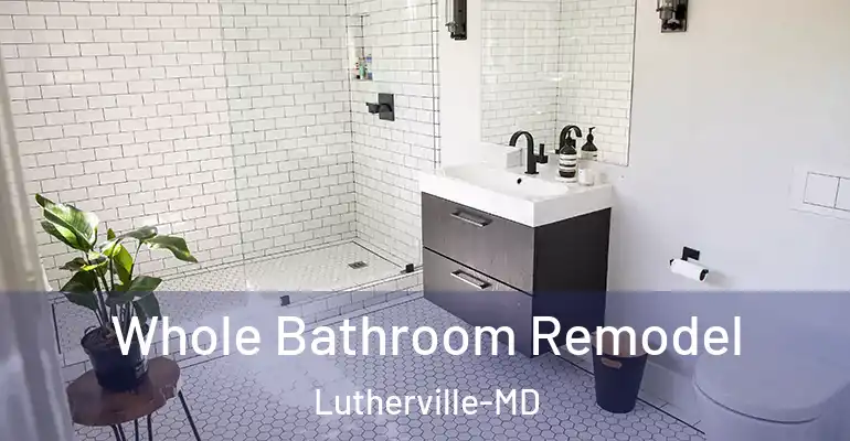 inner Bathroom imggen Whole Bathroom Remodel Lutherville-MD