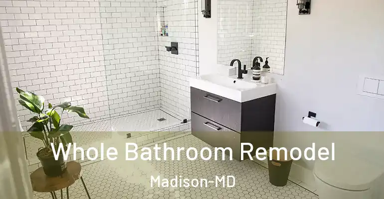 inner Bathroom imggen Whole Bathroom Remodel Madison-MD