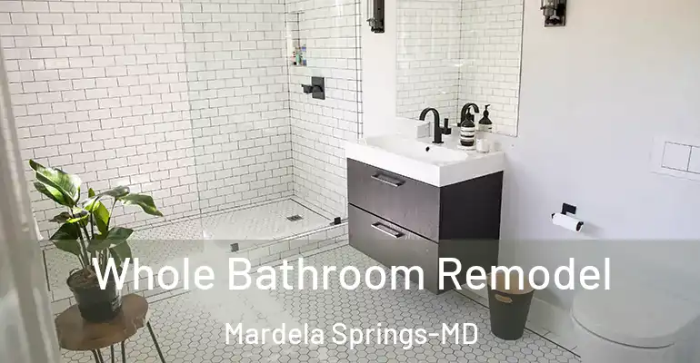 inner Bathroom imggen Whole Bathroom Remodel Mardela Springs-MD