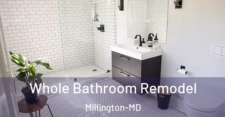 inner Bathroom imggen Whole Bathroom Remodel Millington-MD