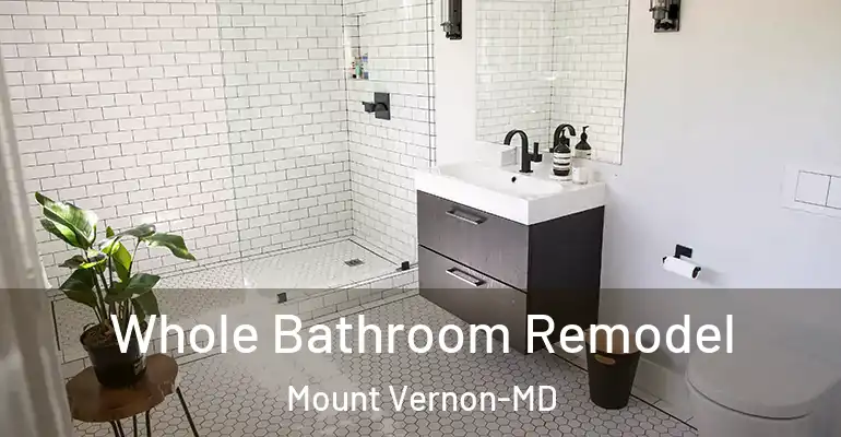 inner Bathroom imggen Whole Bathroom Remodel Mount Vernon-MD