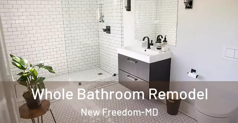 inner Bathroom imggen Whole Bathroom Remodel New Freedom-MD