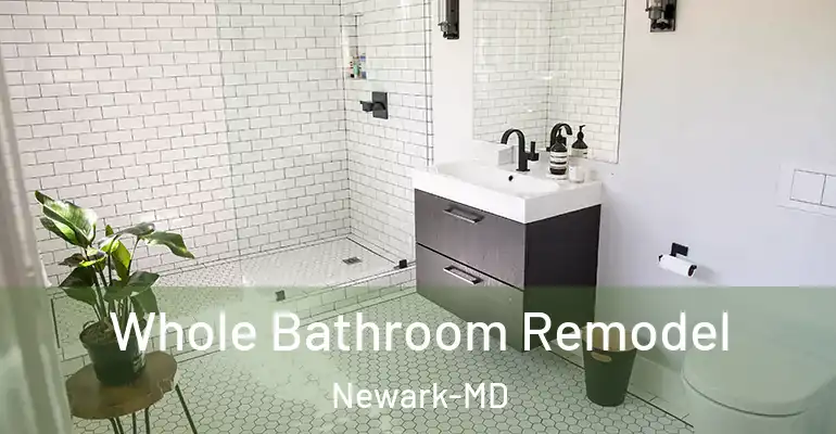 inner Bathroom imggen Whole Bathroom Remodel Newark-MD