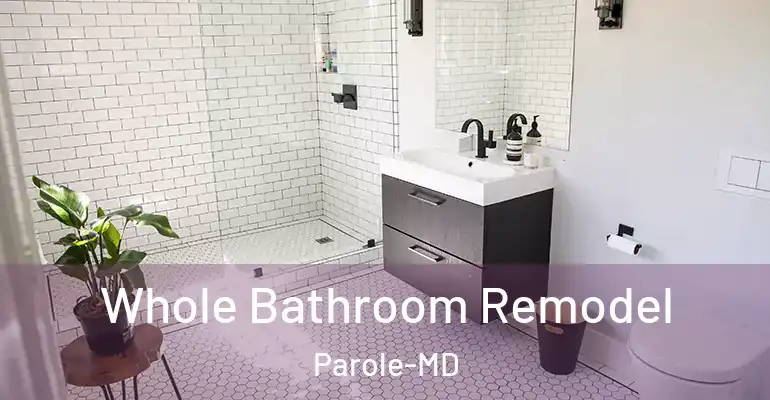inner Bathroom imggen Whole Bathroom Remodel Parole-MD
