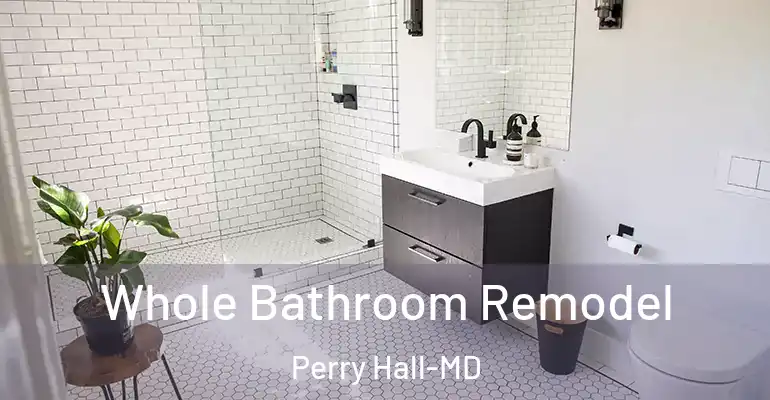 inner Bathroom imggen Whole Bathroom Remodel Perry Hall-MD