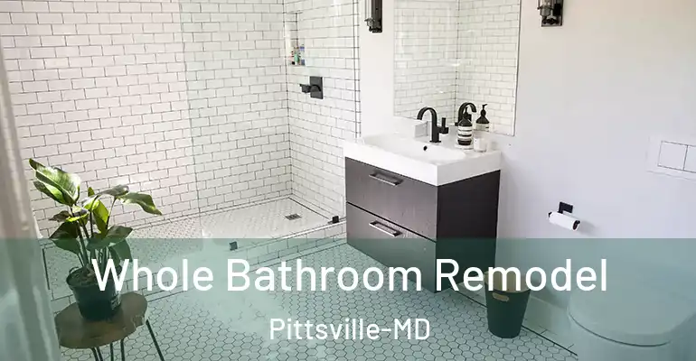 inner Bathroom imggen Whole Bathroom Remodel Pittsville-MD
