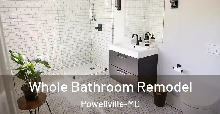 inner Bathroom imggen Whole Bathroom Remodel Powellville-MD