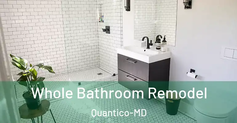 inner Bathroom imggen Whole Bathroom Remodel Quantico-MD