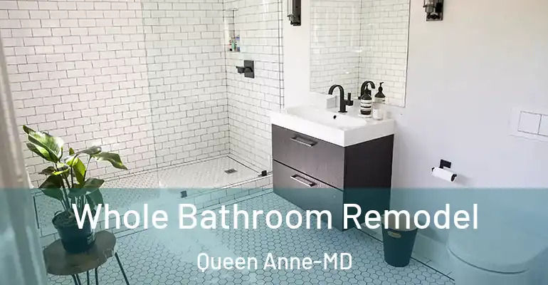 inner Bathroom imggen Whole Bathroom Remodel Queen Anne-MD
