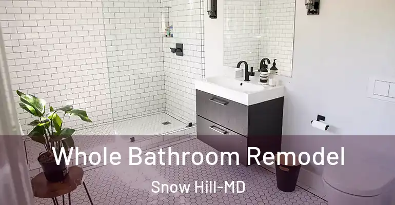 inner Bathroom imggen Whole Bathroom Remodel Snow Hill-MD
