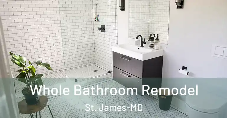 inner Bathroom imggen Whole Bathroom Remodel St. James-MD