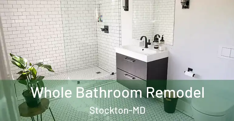 inner Bathroom imggen Whole Bathroom Remodel Stockton-MD