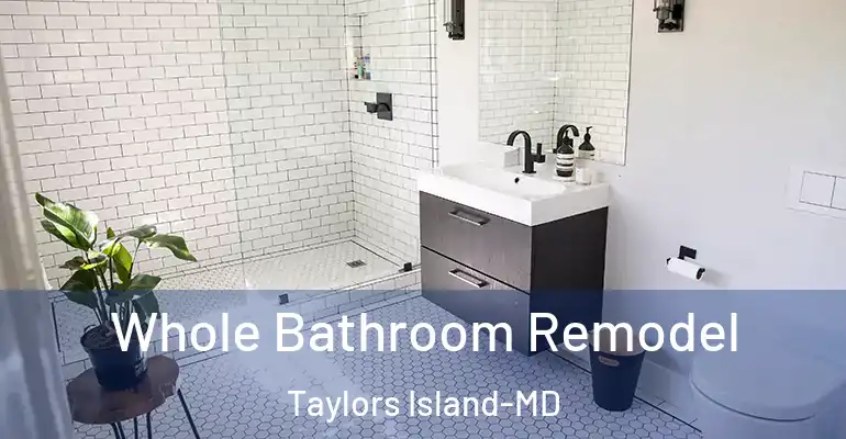 inner Bathroom imggen Whole Bathroom Remodel Taylors Island-MD