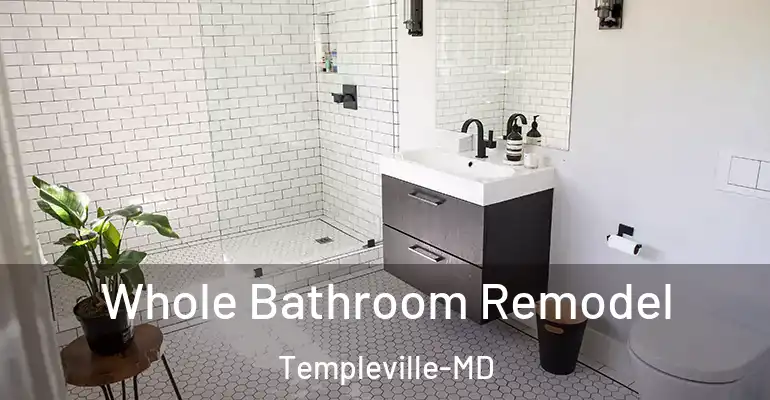 inner Bathroom imggen Whole Bathroom Remodel Templeville-MD