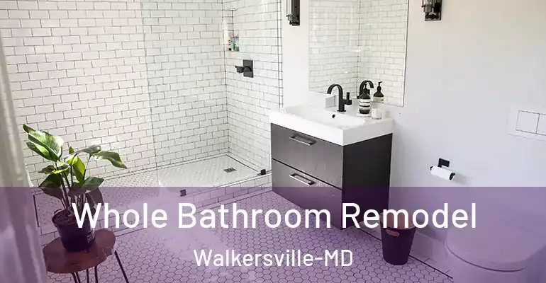 inner Bathroom imggen Whole Bathroom Remodel Walkersville-MD