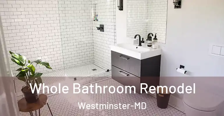 inner Bathroom imggen Whole Bathroom Remodel Westminster-MD