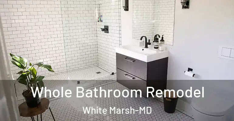inner Bathroom imggen Whole Bathroom Remodel White Marsh-MD